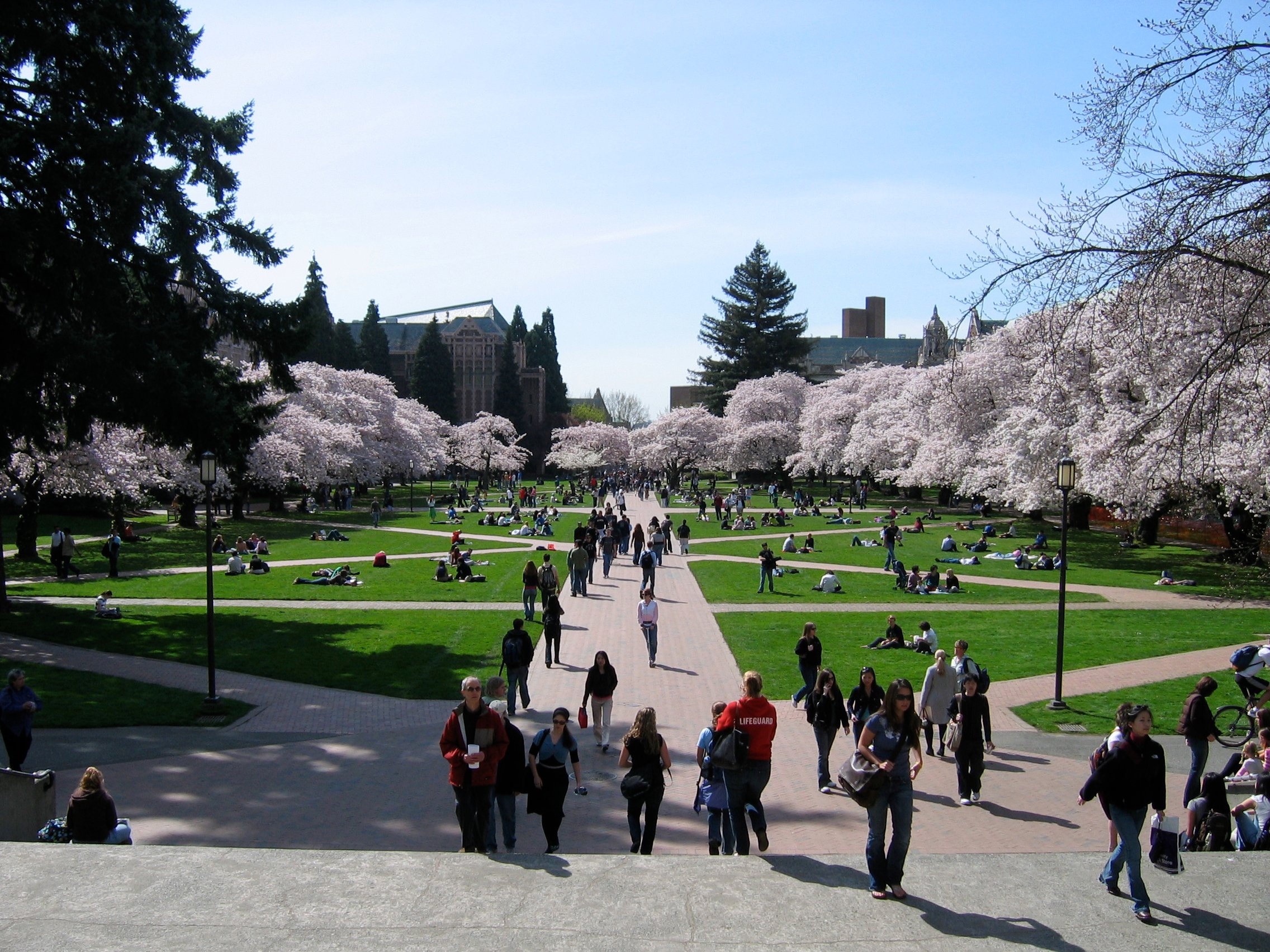 University of Washington, Seattle