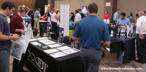 IMG_1295 IMG_1295